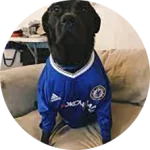 CakhiaTV – Trực tiếp bóng đá chất lượng TOP đầu tại VN 23 Khán giả Chân Đen Sì