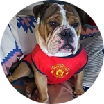 CakhiaTV – Trực tiếp bóng đá chất lượng TOP đầu tại VN 21 Khán giả Đàn Thị Mân Nu